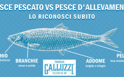 Pesce pescato vs pesce d’allevamento