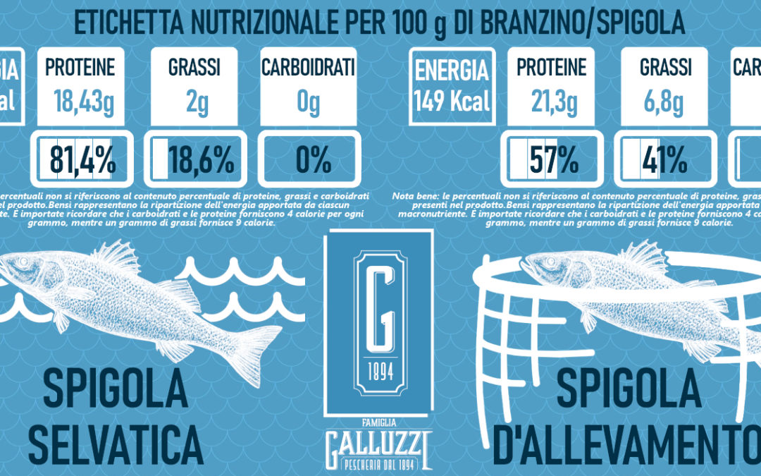 Pesce pescato vs pesce d'allevamento: un focus sui valori nutrizionali