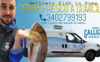 Pesce fresco a domicilio Roma