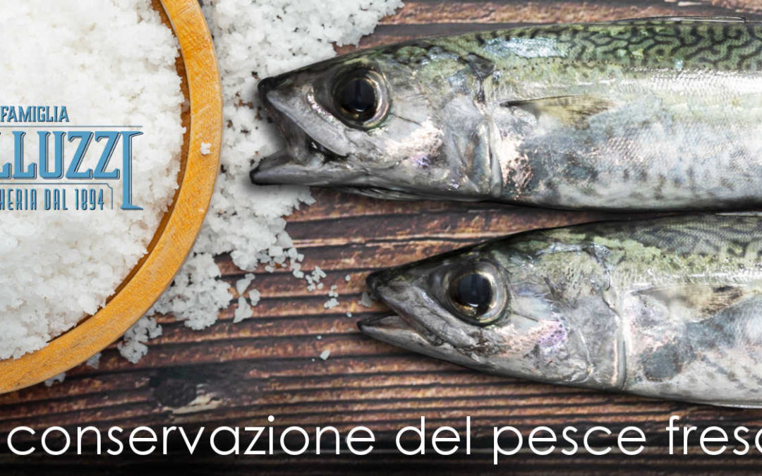 Corretta conservazione del pesce fresco - Famiglia Galluzzi