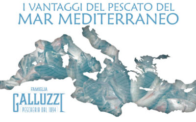 I vantaggi del pescato del Mar Mediterraneo