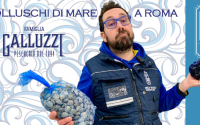 Molluschi bivalvi di Mare a Roma
