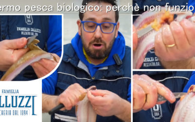 Fermo pesca biologico perché non funziona