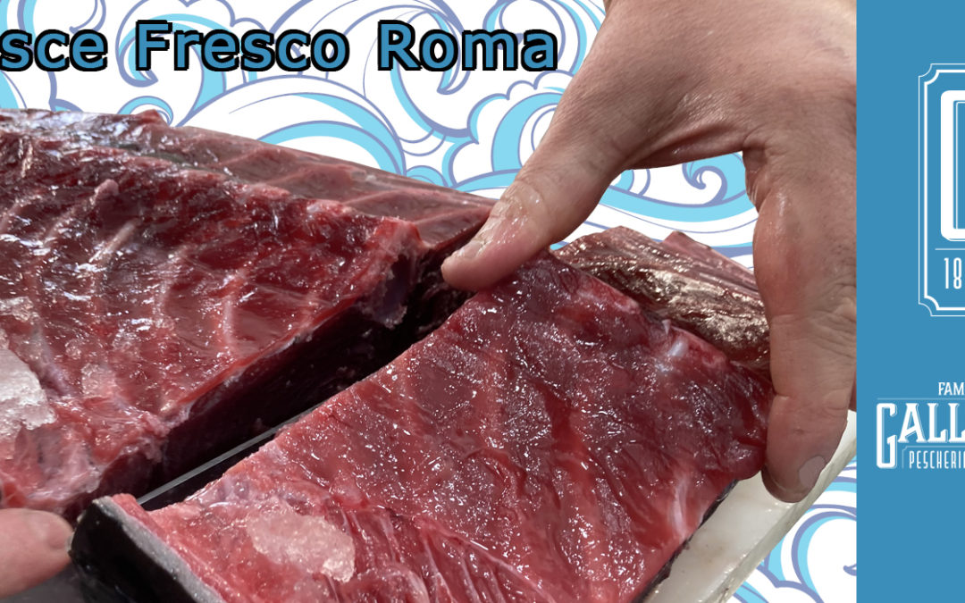 Pesce fresco a Roma: un miraggio? Non se conosci la Pescheria Galluzzi