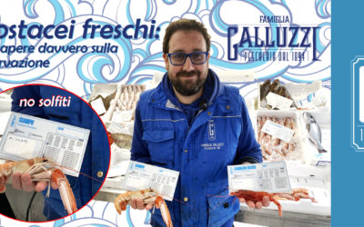 Crostacei freschi: cosa sapere davvero sulla conservazione