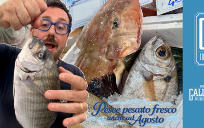 Pesce pescato fresco anche ad agosto: la qualità della Famiglia Galluzzi