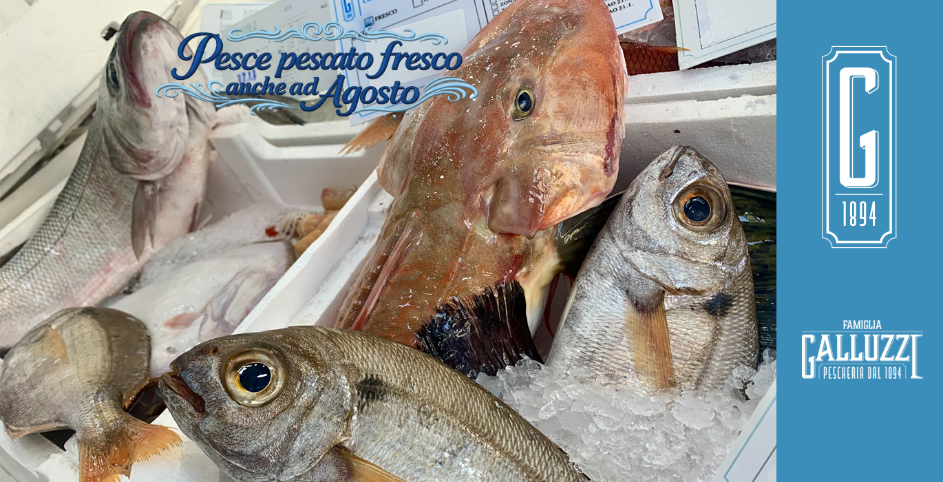 pesce pescato fresco roma