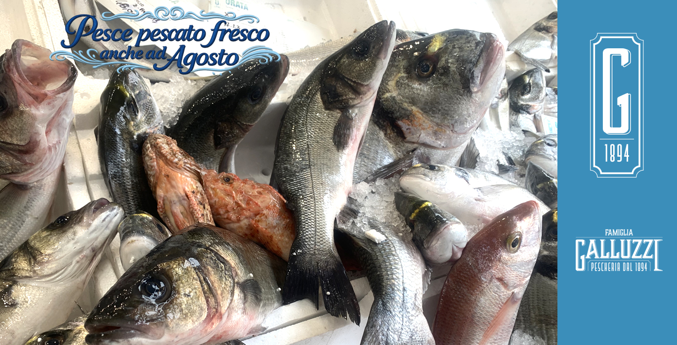 pesce pescato roma